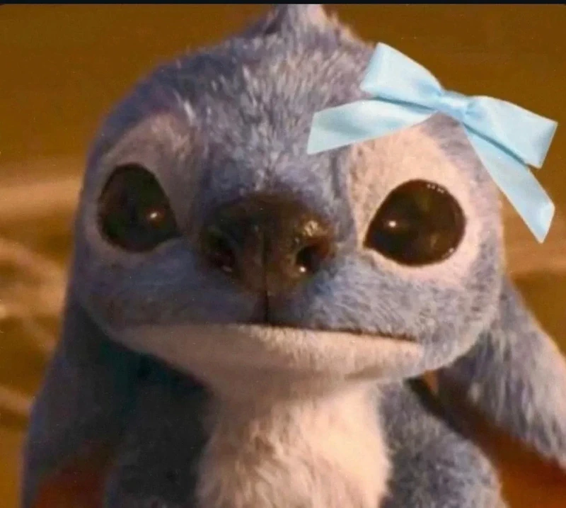 lamiilamii